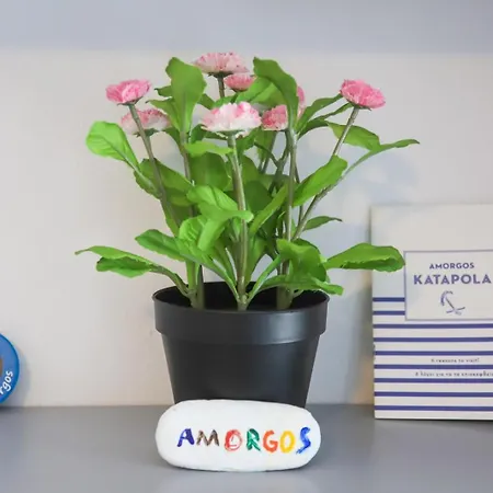 Πανσιόν Casa Calda 1