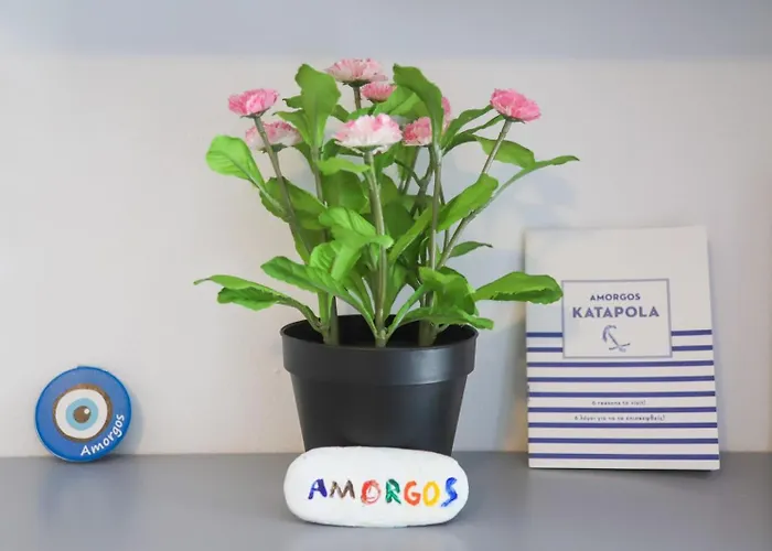 Casa de hóspedes Casa Calda 1